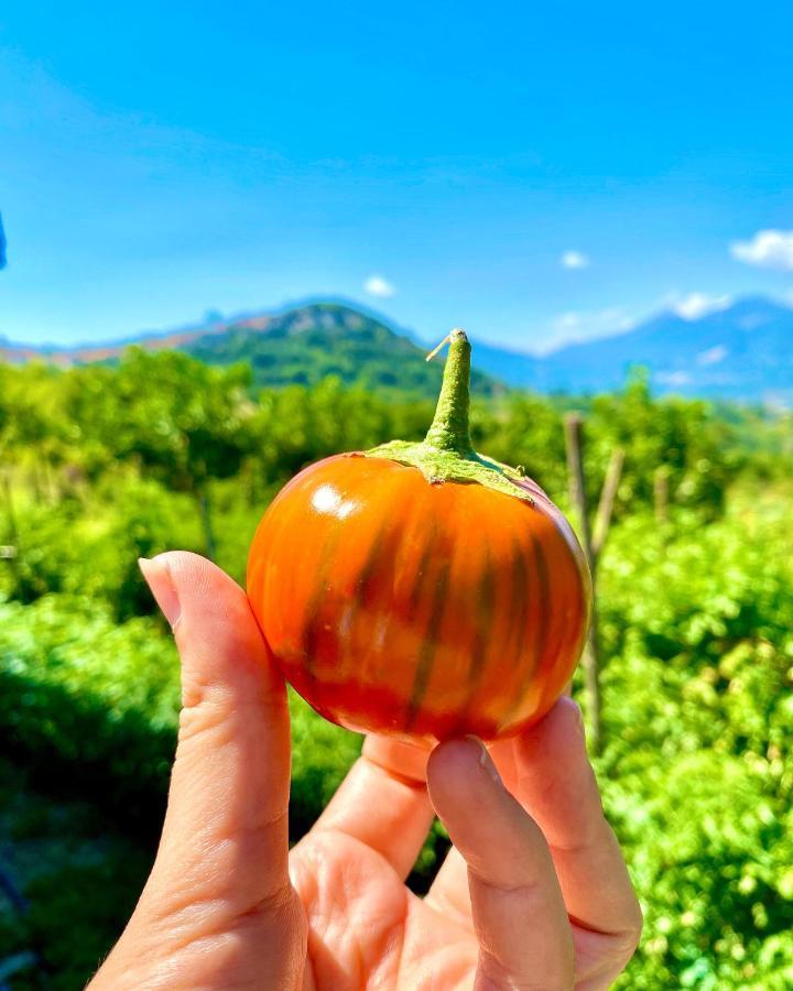 B&B Da Peppe ロトンダ エクステリア 写真